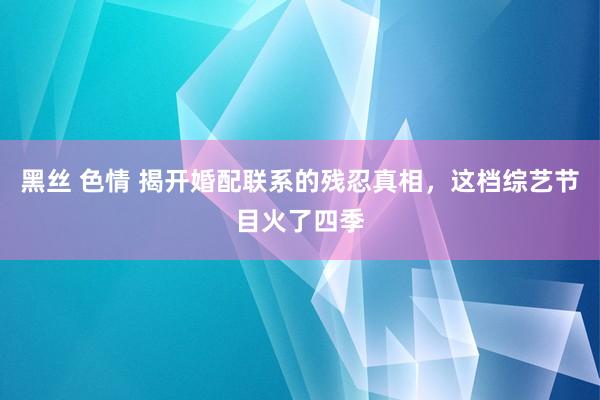 黑丝 色情 揭开婚配联系的残忍真相，这档综艺节目火了四季