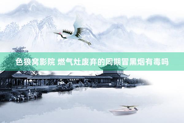 色狼窝影院 燃气灶废弃的同期冒黑烟有毒吗