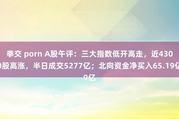 拳交 porn A股午评：三大指数低开高走，近4300股高涨，半日成交5277亿；北向资金净买入65.19亿