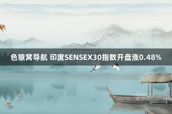 色狼窝导航 印度SENSEX30指数开盘涨0.48%