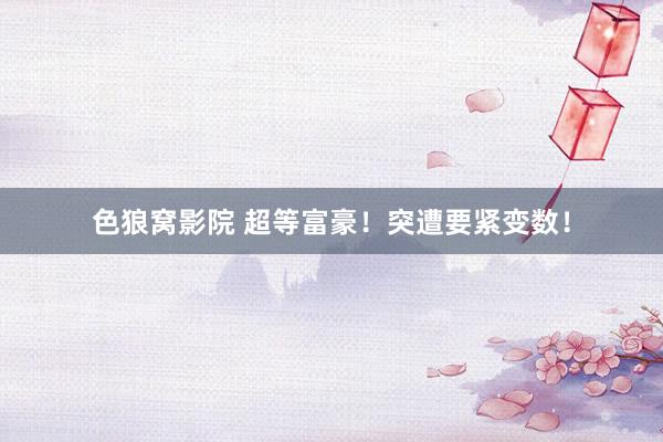 色狼窝影院 超等富豪！突遭要紧变数！
