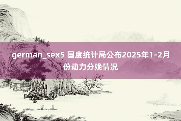 german_sex5 国度统计局公布2025年1-2月份动力分娩情况