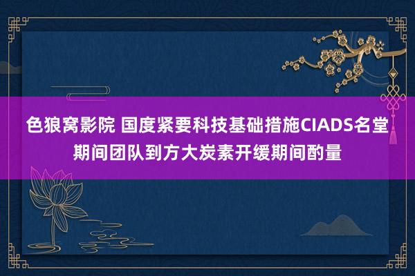 色狼窝影院 国度紧要科技基础措施CIADS名堂期间团队到方大炭素开缓期间酌量