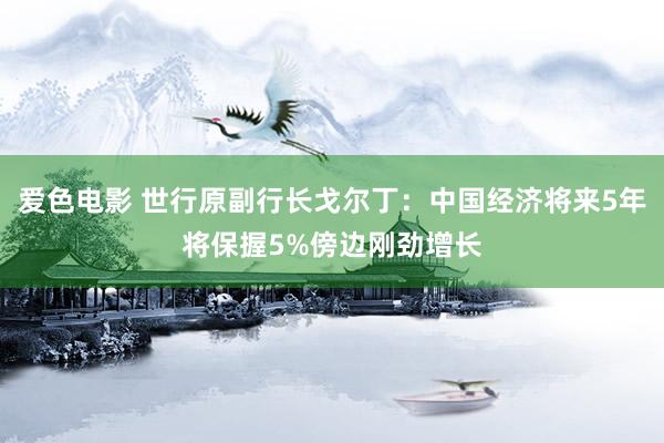 爱色电影 世行原副行长戈尔丁：中国经济将来5年将保握5%傍边刚劲增长