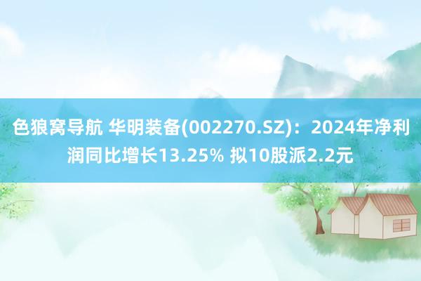 色狼窝导航 华明装备(002270.SZ)：2024年净利润同比增长13.25% 拟10股派2.2元