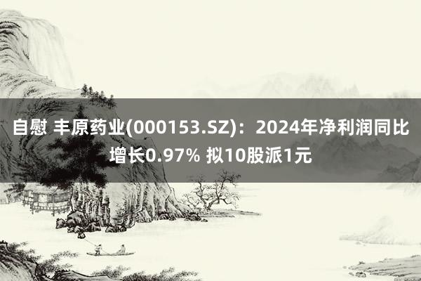 自慰 丰原药业(000153.SZ)：2024年净利润同比增长0.97% 拟10股派1元